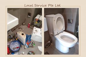 Supply And Install Flushing System At Domain 21