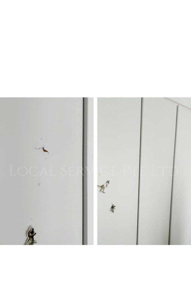 Supply And Replace Wardrobe Door