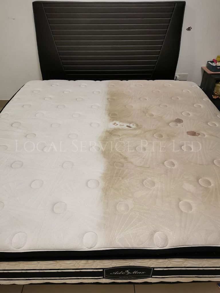 Mattress Cleaning Service
