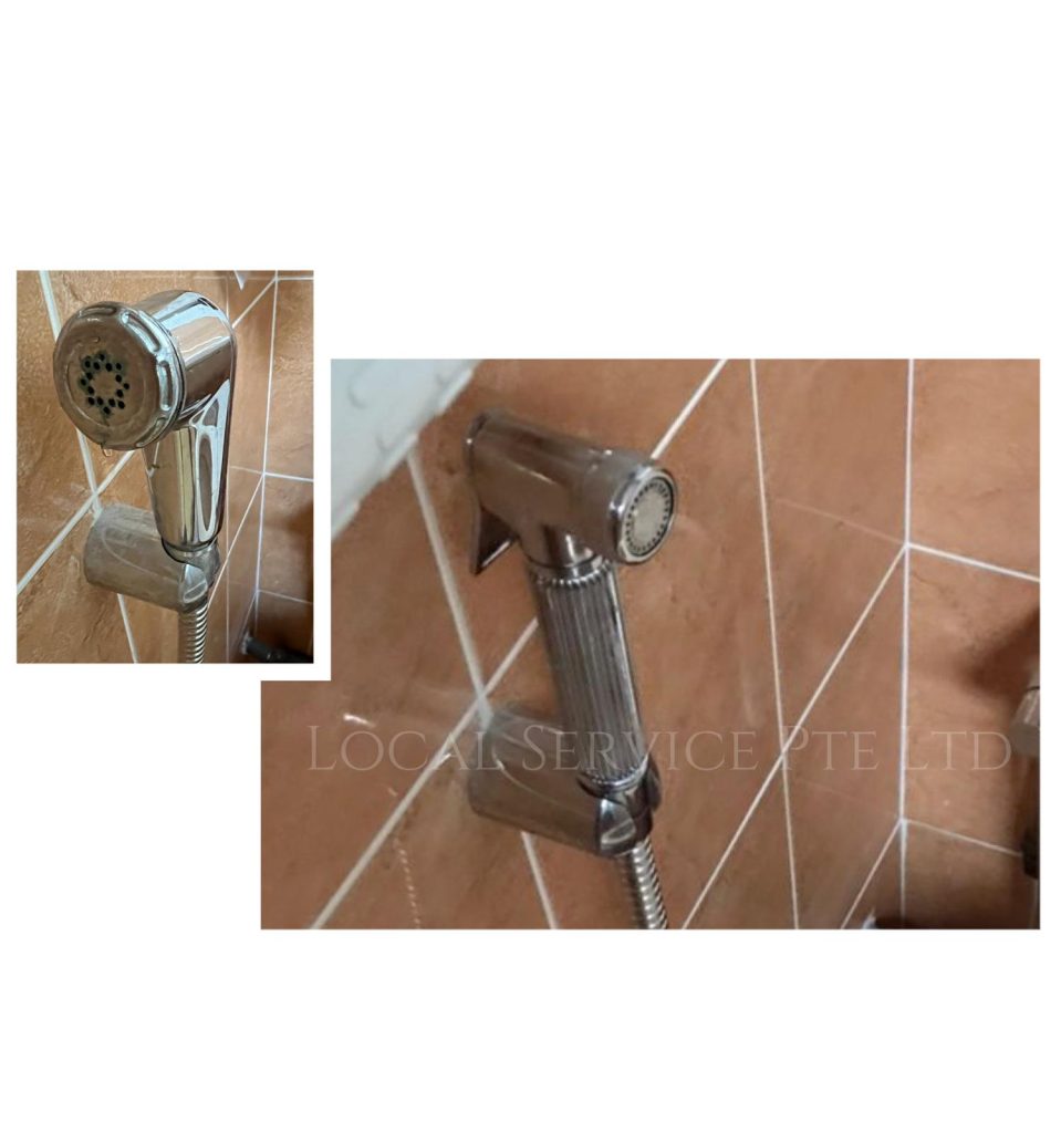 Supply And Replace Bidet Spray