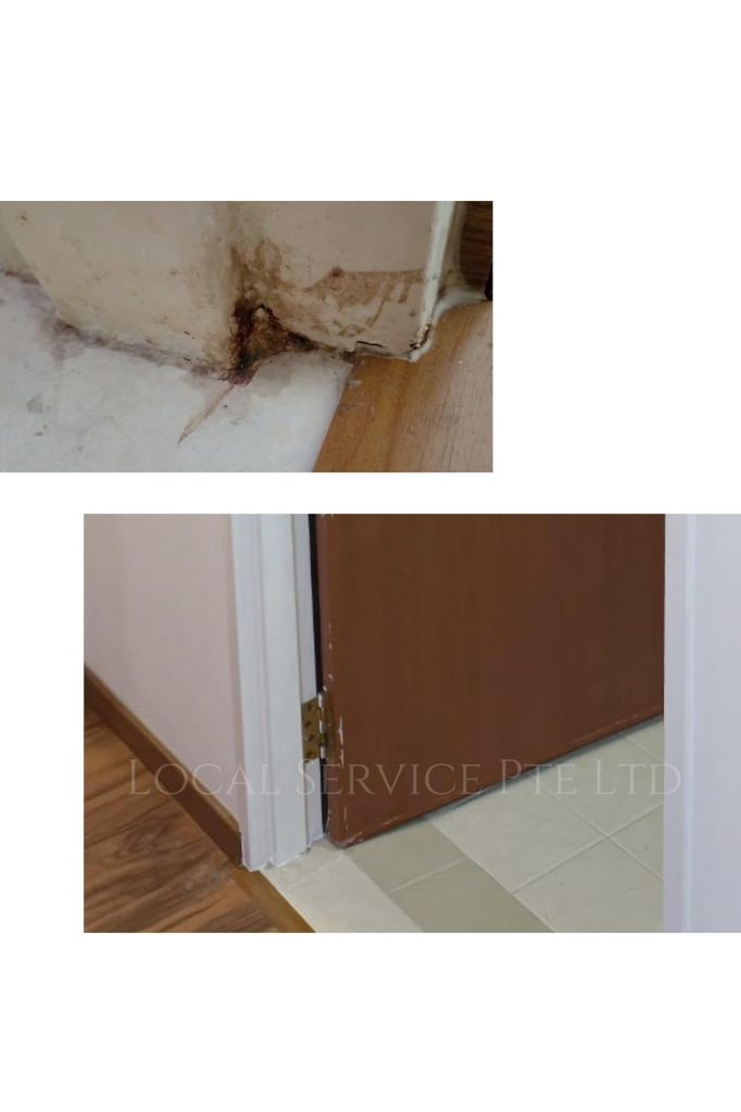 Door Frame Repair