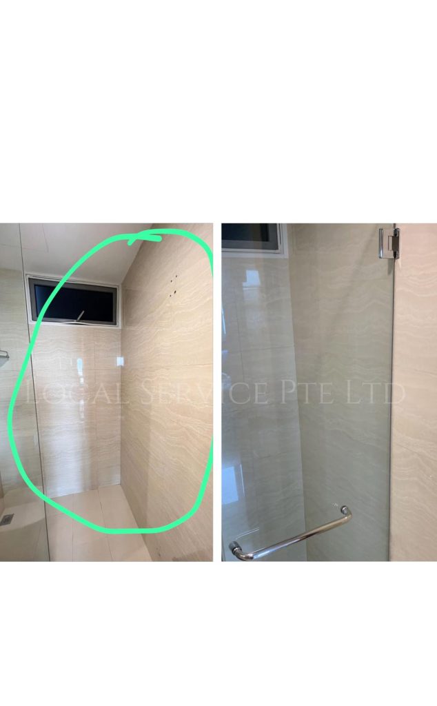 Supply And Replace Glass Door Hinges