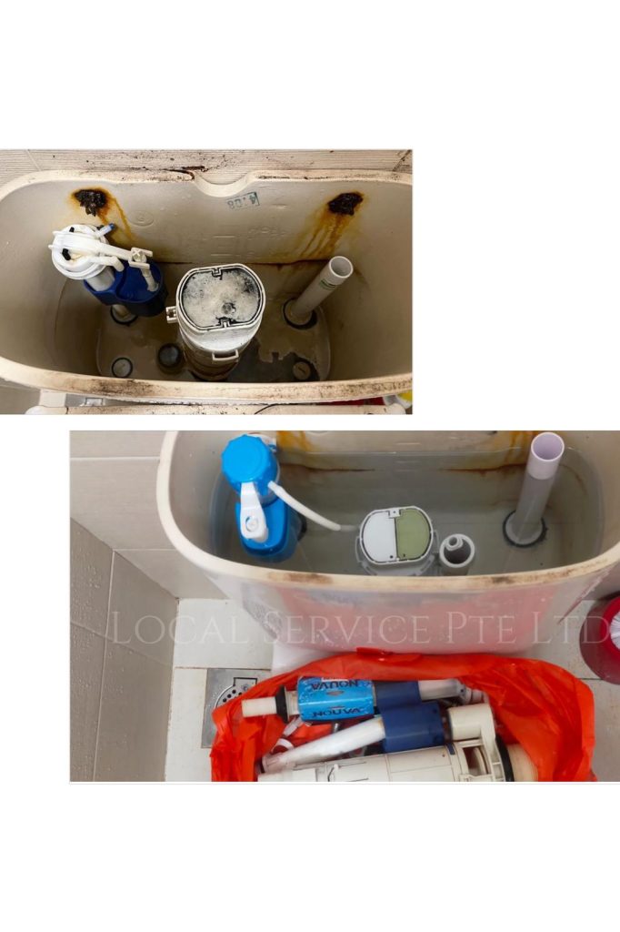 Supply And Replace Flushing System