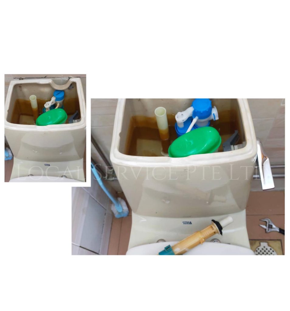 Supply And Replace Flushing System