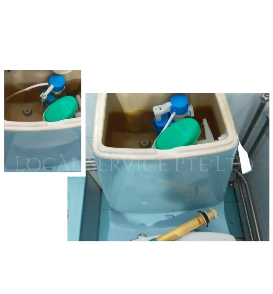 Supply And Replace Flushing System